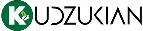 Black Chamber of Memphis 2025 Symposium Sponsor - Kudzukian