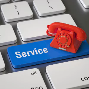 Government & Public Services